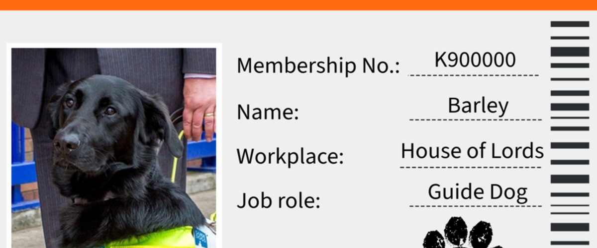 GMB Trade Union