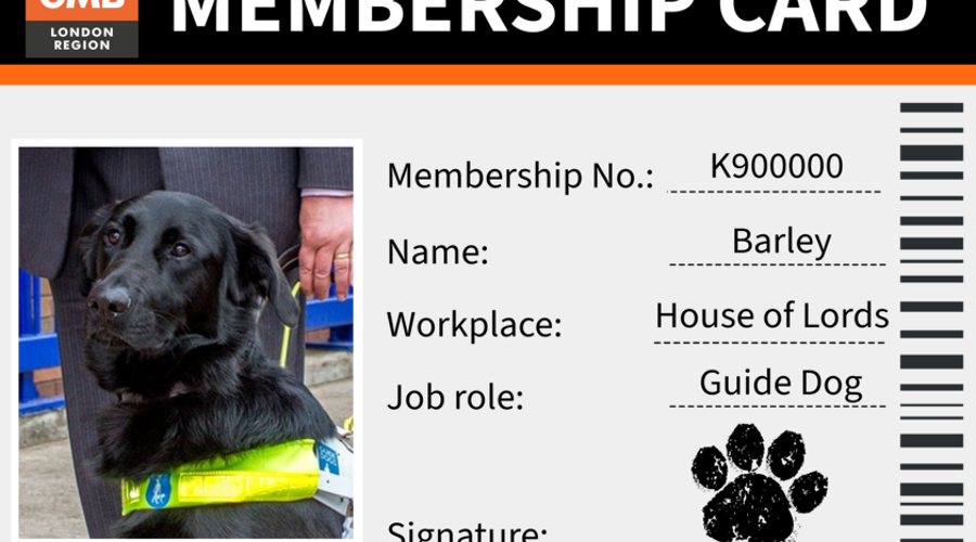 GMB Trade Union - Lord Blunkett's guide dog, Barley, becomes union's fetching new member