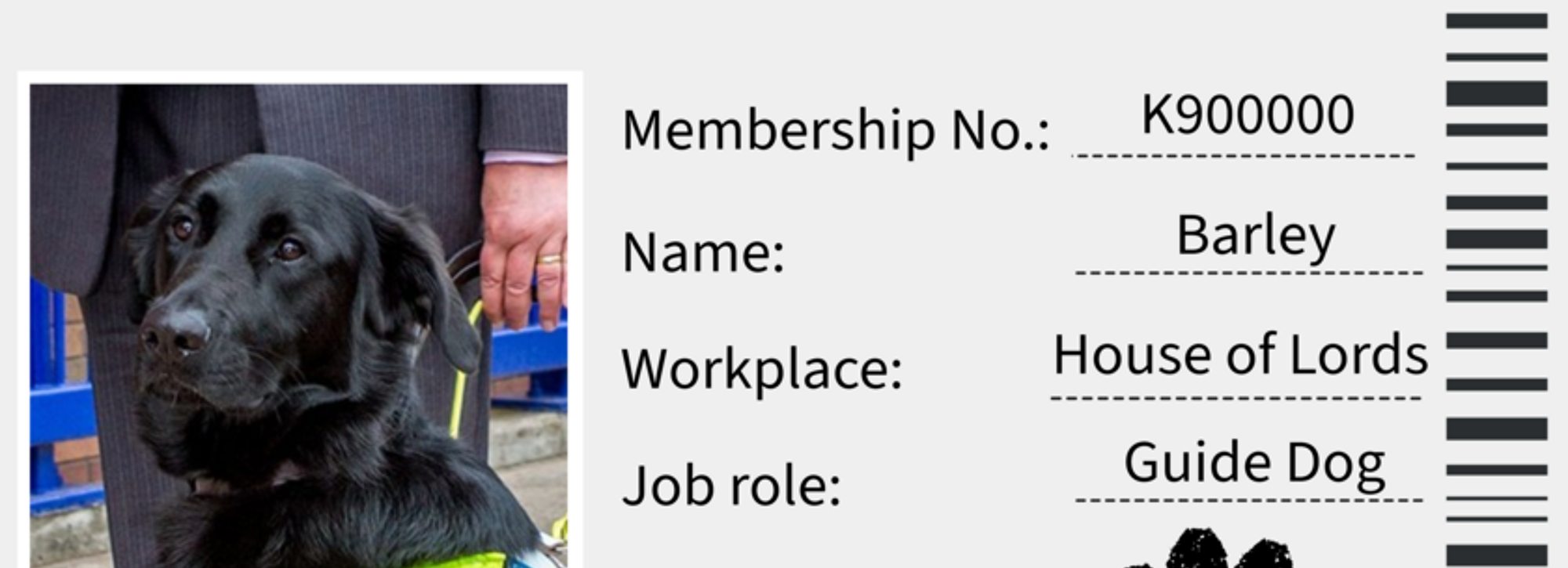 GMB Trade Union - hero image