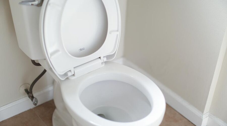 GMB Trade Union - Toilets for drivers 'basic human right'